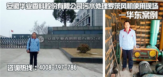 安徽華業(yè)香料污水處理用羅茨風機使用現場