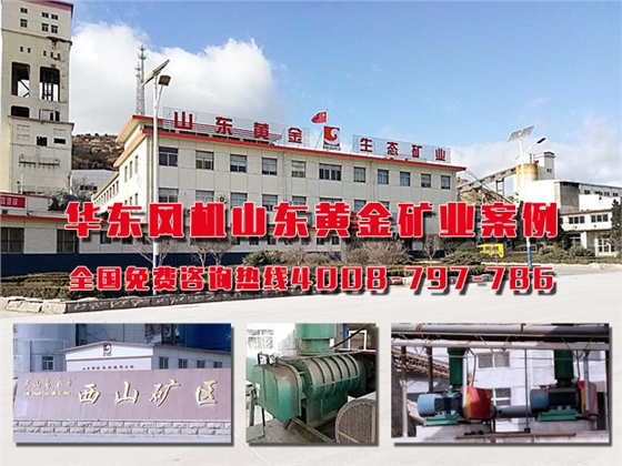 羅茨風(fēng)機