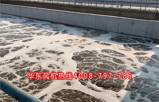 空氣懸浮風(fēng)機003.jpg