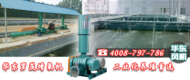 華東羅茨增氧機 華東羅茨增氧機